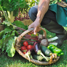 potagers-marcoussis