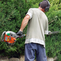 visuel-chantier-insertion