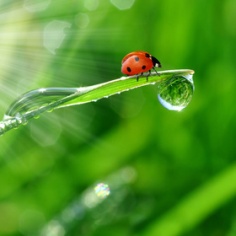 Fotolia_30860001_XS